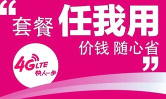 无限流量卡与数字文创 三大运营商诚意不足背后的服务缺口